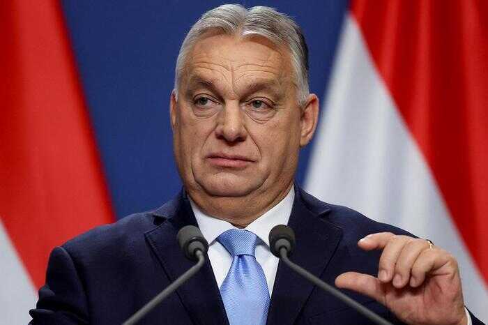 Орбан и Маск осудили признание партии AfD экстремистской